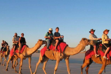 Rajasthan Camel Safari Tour